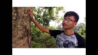 তোমাৰ মৌ বৰষা কথাৰে....2018Latest Assamese poem