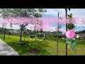 Dailyvlog@Bukit Gombak Park with highest 45m above sea level and 108 steps of stairs！