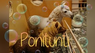 Ponitunti (schleich) 💕