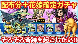 【ドラクエタクト】ジャミラスガチャ＋花嫁確定ガチャ10連！そろそろ奇跡を起こして神引きしたい！！