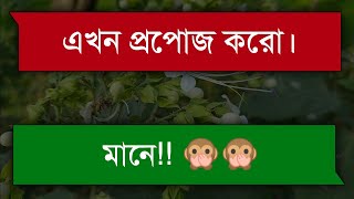 সিনিয়র জুনিয়রের দুষ্টু মিষ্টি ভালোবাসা || Bangla Romantic Love Story - Tanvir's Voice