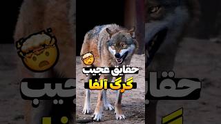 حقایق عجیب گرگ ها 😳😮 #shorts #wolf