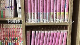 本棚紹介　小説編　(野いちご)  声なし　　第一回