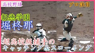 【プロ注目】高校ナンバー1捕手のキャッチング\u0026スローイング！堀柊那（報徳学園）