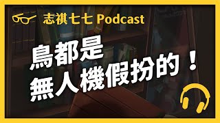 EP 019 美國有一堆人相信「鳥不是真的」？背後原因令人暖心！｜志祺七七Podcast