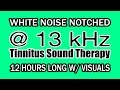 White Noise - Notch Filtered at 13 kHz for Tinnitus Therapy w/ Visuals