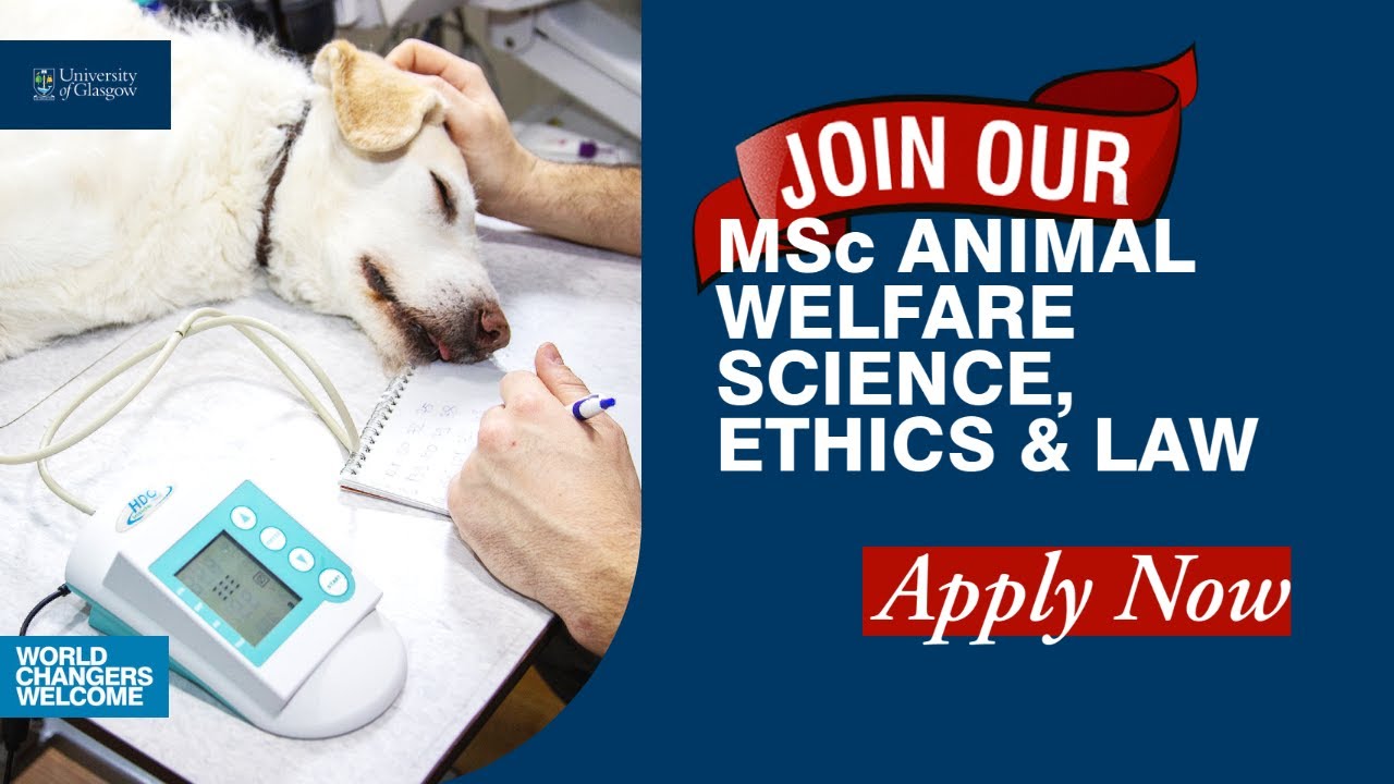 MSc Animal Welfare Science, Ethics & Law - YouTube