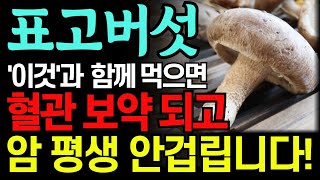 표고버섯을 '이것'과 함께 먹으면 혈액순환 장애 싹 사라지고 암 걱정 없습니다! 함께 먹으면 보약되는 음식 3가지와 꿀팁 레시피! '이렇게' 만 드시면 최고의 보약! 동맥경화 예방