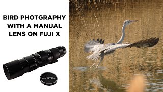 Bird Photography with a Manual Lens on Fuji X