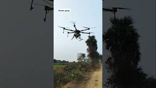 Paddy field Drone spray #dronesprayagricultural #farming #viralvideo #agriculture