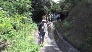 紫羅蘭徑春坎角 - 摯友旅行隊2014