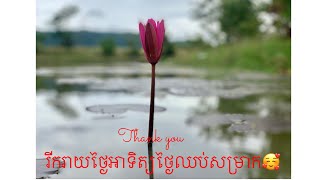 #viral  #ថ្ងៃឈប់សម្រាកមកលេងស្រុកកំណើតមើលទេសភាពខេត្តកំពង់ស្ពឺ🥰🌱🌿🌷🌻