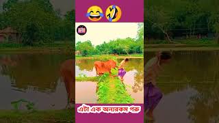 এটা এক অন্যকম গরু।