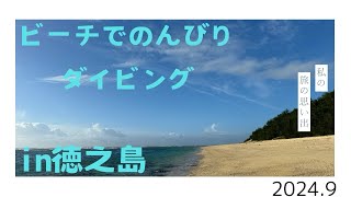 【女ひとり旅】世界遺産　徳之島の海でのんびりビーチダイビング