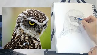 LIVE Drawing Lesson, realistic owl eyes