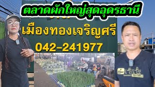 เกษตรผสมผสาน#ตลาดผักใหญ่ที่สุด#อุดรธานี#ซื้อขายพืชผักทุกชนิด??