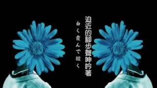 [中文字幕付]【初音ミク】鵠