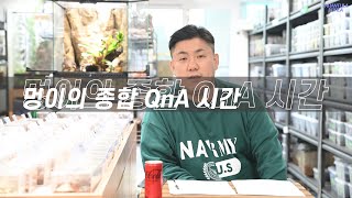 멍이의 종합 QnA시간!