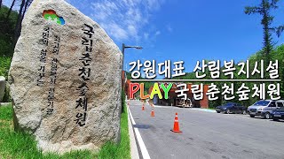 짧은여행 /  trip / 국립춘천 숲체원