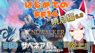 【FF14】 はじめての暁月編 のんびりストーリー進める #09【Gaia/Alexander】