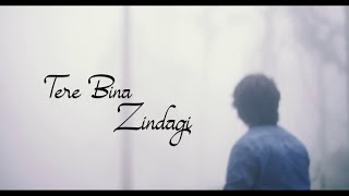 Tere Bina Zindagi Flute Cover | Varun Kumar | The Wind Stories
