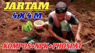 LOKASI 4 |TIGA PUPUK DASAR UMTUK TANAM KAKAO