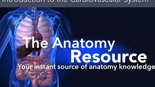 CVS Tutorial 1 Introduction to the Cardiovascular System