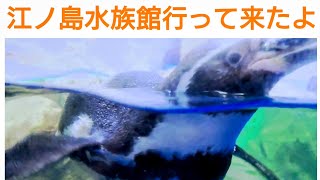 江ノ島水族館行って来た　片瀬江ノ島ロマンスカーなら新宿から70分