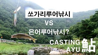 [은어] 단양 씨은어잡기? CASTING AYU 은어루어낚시의 서막!