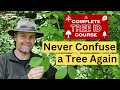 Become a Tree Expert with The Complete Tree ID Course