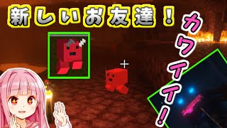 カワイイ悪魔と友達になる茜ちゃん！ # 26【マイクラ自作MOD実況「AKANecroMobs Mod」】ボイスロイド