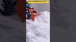 【北海道あるある】①大雪モードになったら除雪車の力を借りないと大変だよ〜☃️ 北海道旭川市✨  #ninjya #shorts #旭川市 #雪 #雪化粧 #雪景色 #真冬 #北海道あるある #除雪車