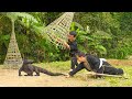 Dwarf Familys - KOMODO Dragon Attacks the Farm - Dangerous for Chicks