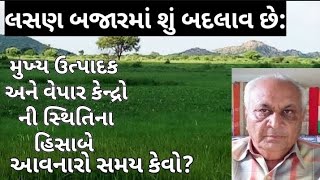 લસણ ભાવોની આજની પરિસ્થિ પછી આવકોમાં થયેલા ફેરફાર ના કારણો અને નવી અસર: