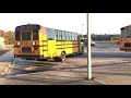 various school buses