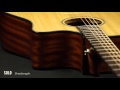 The Breedlove Solo Series Guitars