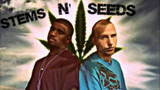 Wilz n' States - Stems n' Seeds