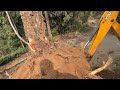 safely removing deep rooted trees villagers helping new mountain road work with jcb backhoe