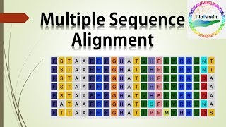 Multiple Sequence Alignment