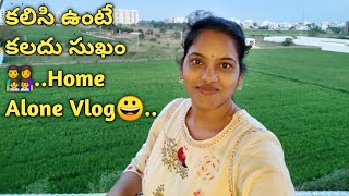 Vlog ll సాయంత్రం నుంచి మరునాడు మధ్యాహ్నం వరకు ll Full Day Vlog with Nothing special🤷