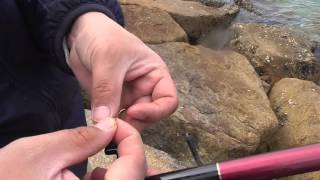 Introducing how to stab a shrimp needle in fishing bait.