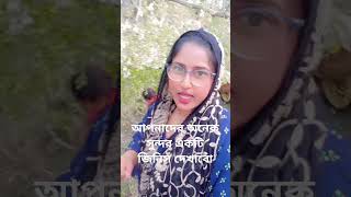 আপনাদের অনেক সুন্দর জিনিস দেখাবো #viralvideo