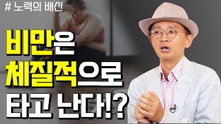 아무리 노력해도 살이 안 빠지고, 아무리 노력해도 공부를 못하는 이유? - 꼬꼬독#88 노력의 배신