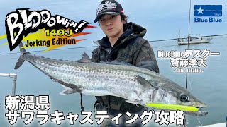 新潟東港！サワラキャスティング攻略！ブローウィン140J【ジャーキングエディション】by斎藤孝大