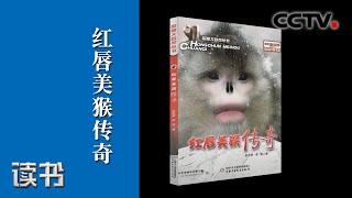 赵序茅 李明《红唇美猴传奇》：探寻滇金丝猴（下）《读书》20200616 | CCTV科教