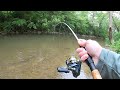 CREEK Fishing for AGGRESSIVE Rainbow & Brown TROUT