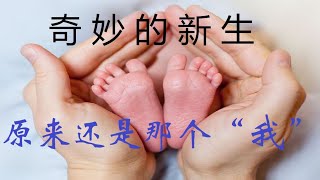 奇妙的新生命，探秘身体的来源#人生 #智慧 #佛法