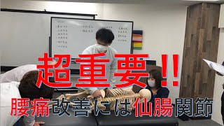 【腰痛を撃退】まずは仙腸関節を治療しよう。