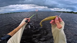 Epic Big Fish Bite With This Lure - Fishing With Live Scope For Big Florida Snook!!