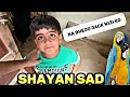 Shayan Sad😔 | Shehr Main Dihat | Video Editing